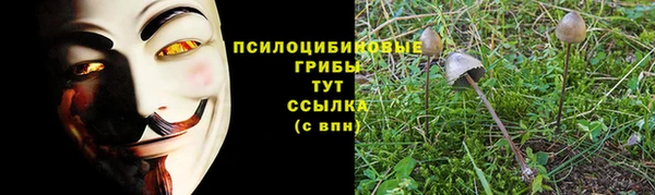 мет Тобольск