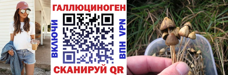Псилоцибиновые грибы Psilocybe  закладка  Чехов 